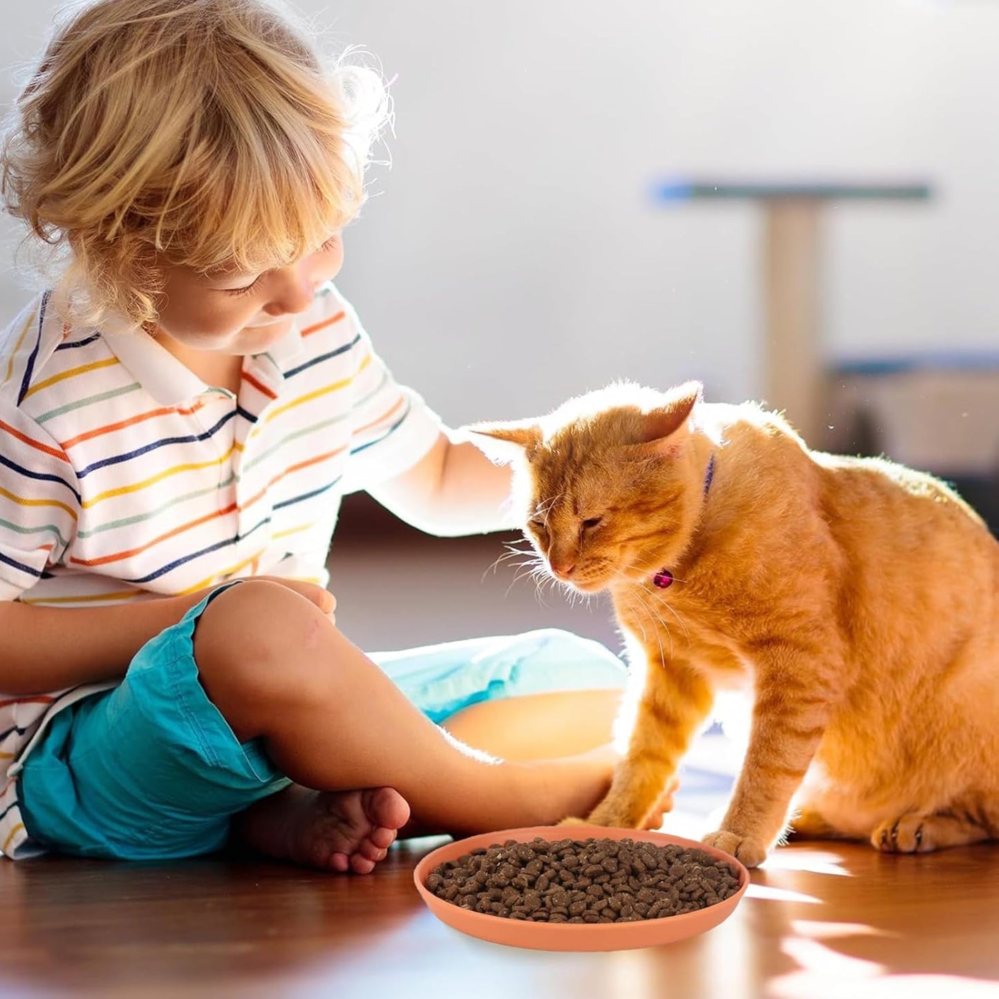 4 Pcs Cat Food Dish 5.9 Inch Shallow Cat Wet Feeding Bowls Whisker Friendly Wide Wheat Straw Pet Plate Colorful Flat Cat Bowl for Kittens and Short Legged Cat