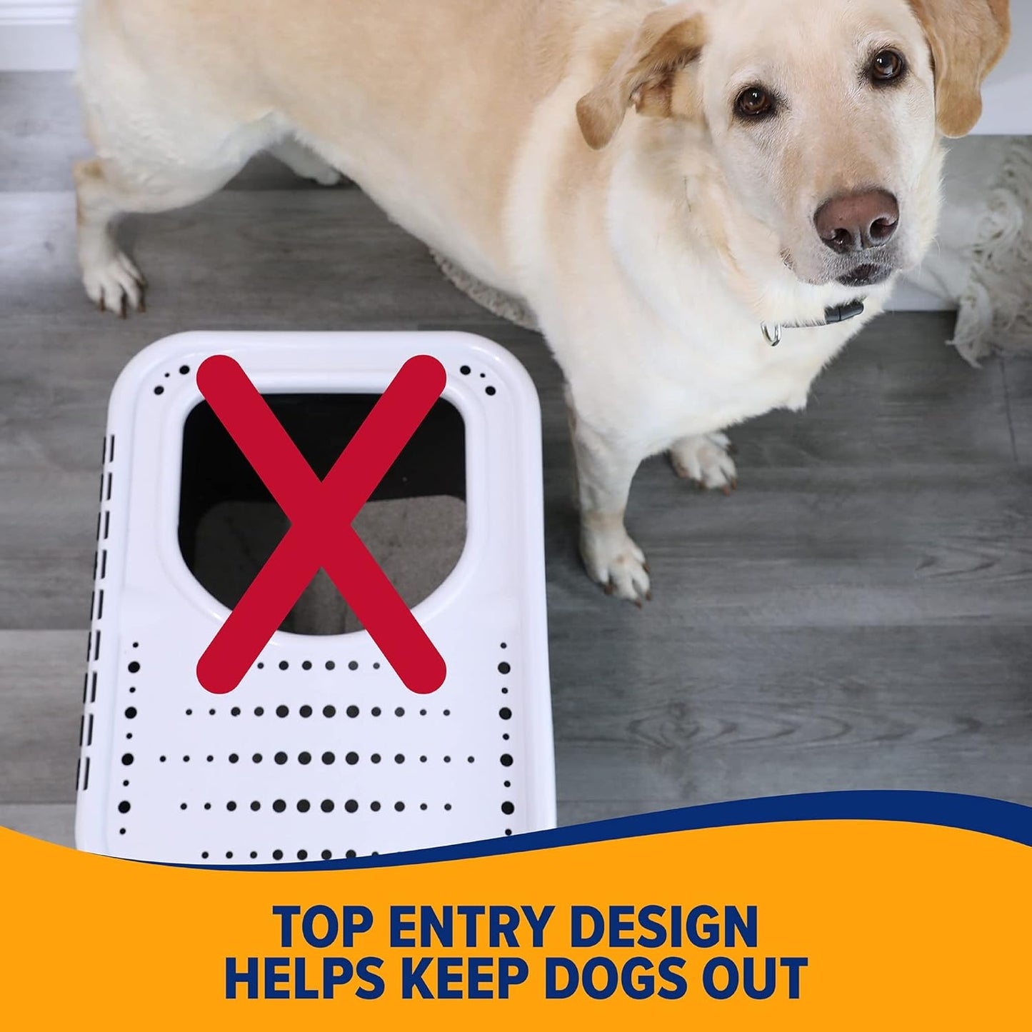 Premium Top Entry Litter Box with Filter to Clean Paws and Microban, Made in USA