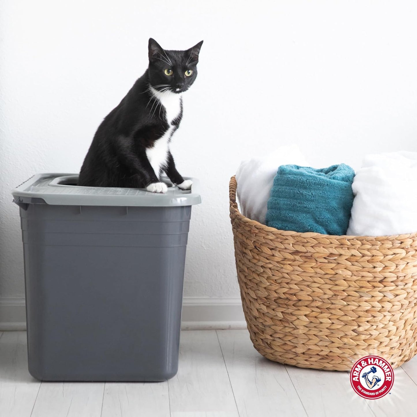 Premium Top Entry Litter Box with Filter to Clean Paws and Microban, Made in USA