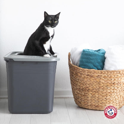 Premium Top Entry Litter Box with Filter to Clean Paws and Microban, Made in USA
