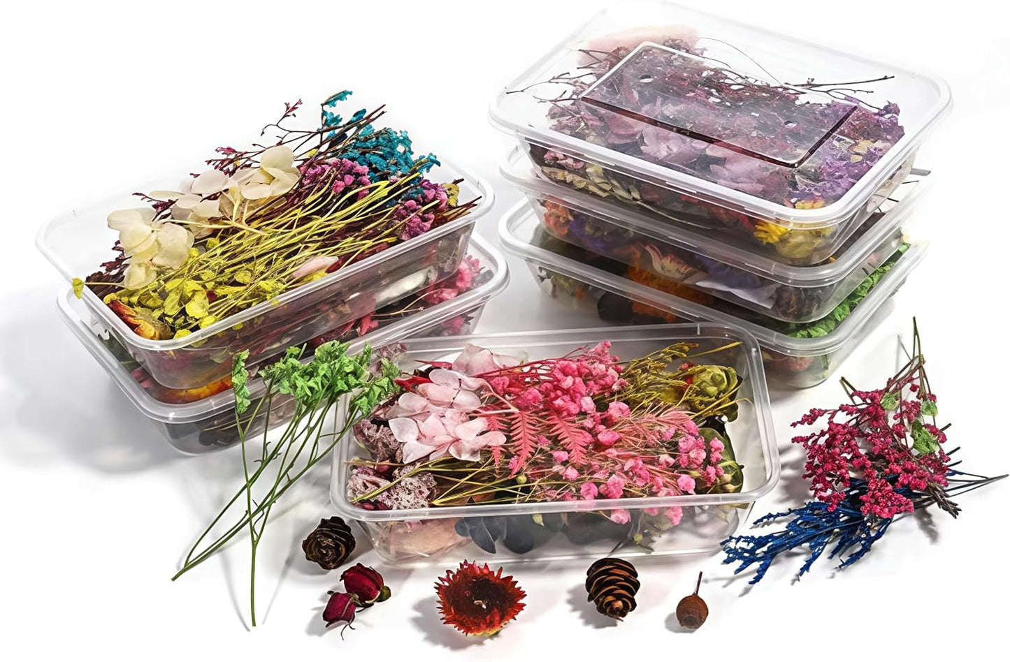 Dried Flower 2 Box DIY Natural Dried Flowers for Crafts Candles Resin Card