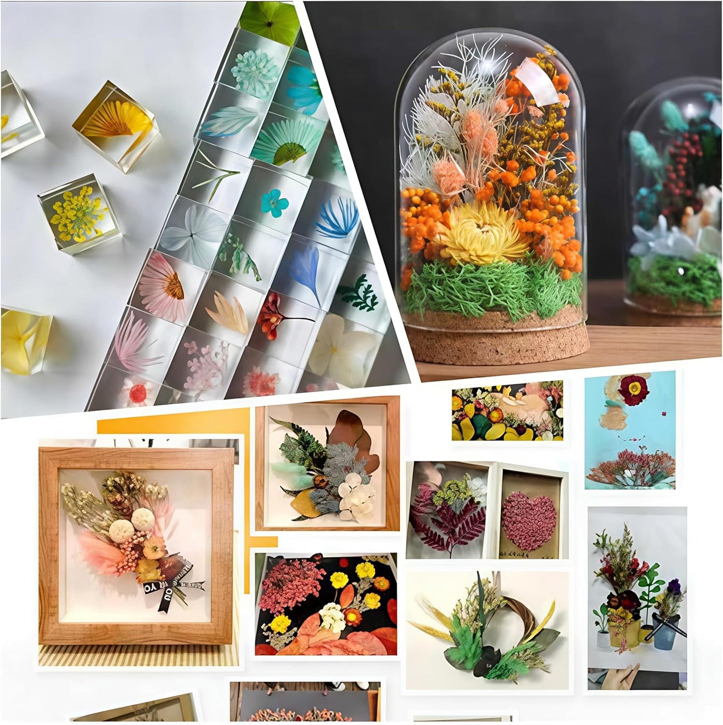 Dried Flower 2 Box DIY Natural Dried Flowers for Crafts Candles Resin Card