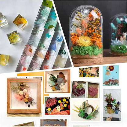 Dried Flower 2 Box DIY Natural Dried Flowers for Crafts Candles Resin Card