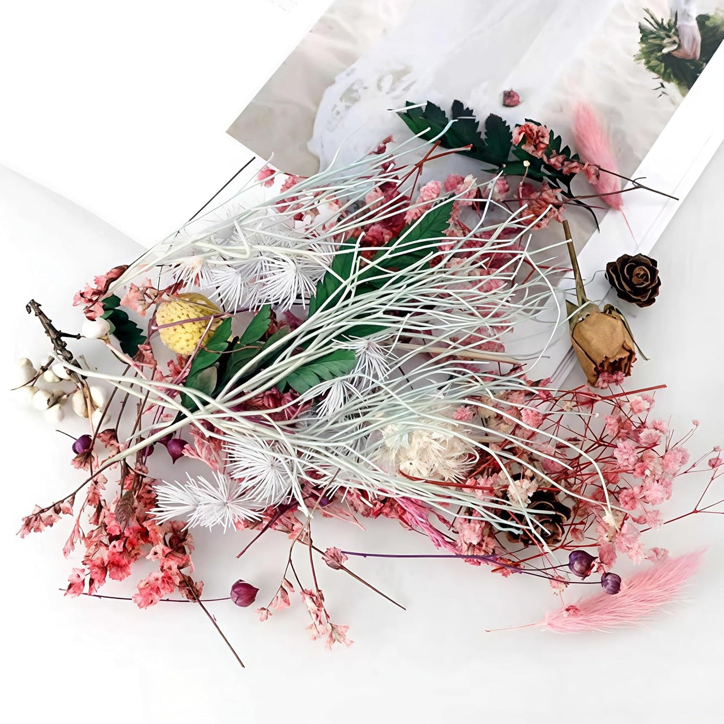 Dried Flower 2 Box DIY Natural Dried Flowers for Crafts Candles Resin Card