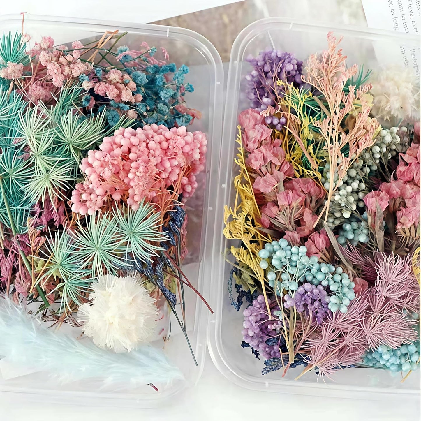 Dried Flower 2 Box DIY Natural Dried Flowers for Crafts Candles Resin Card
