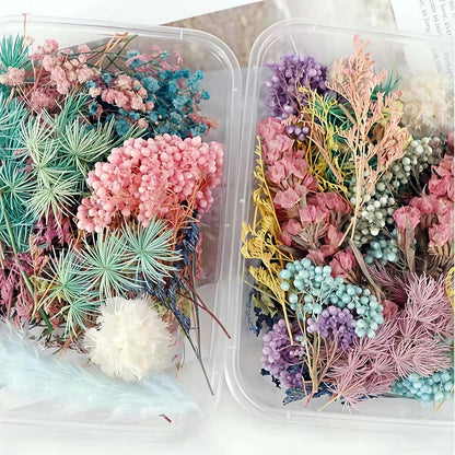 Dried Flower 2 Box DIY Natural Dried Flowers for Crafts Candles Resin Card