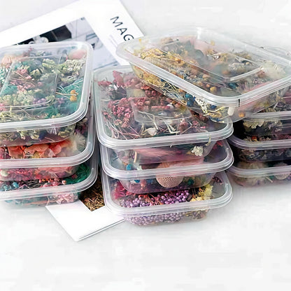 Dried Flower 2 Box DIY Natural Dried Flowers for Crafts Candles Resin Card