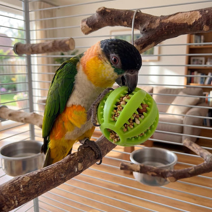 4 Pcs Silicone Bird Foraging Toys, Treat Dispenser Balls with Flexible Gaps for Conures, Parakeets and Cockatiels, Easy to Clean Pet Enrichment Feeder, Red Blue Yellow Green, 2x2 Inches