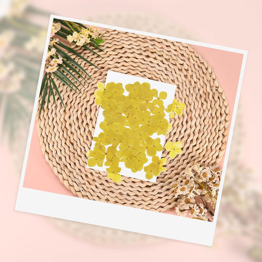 60-Pack Dried Pressed Flowers for Resin, Real Natural Bulk Dry Floral for Crafts/DIY Jewelry/Soap Making/Scrapbooking/Candle/Epoxy Resin Supplies [Yellow]