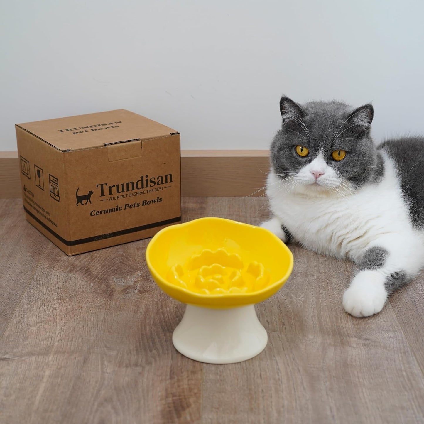 Ceramic Slow Feeder Bowl for Cats and Small Dogs, Elevated Tilted Pet Food Dish, Whisker Friendly Anti-Vomit Design, Heavy Stable Base, Dishwasher Safe， 5 Colors Options (Lemon Yellow)
