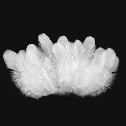 500pcs-Yellow Rooster Feathers 3-5inch Bulk Feathers for Crafts DIY Dream Catcher Supplies（500pcs）