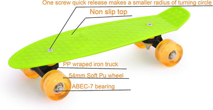 17inchX5inch Completed Skateboard Mini Cruiser Board with High Bounce PU Wheel