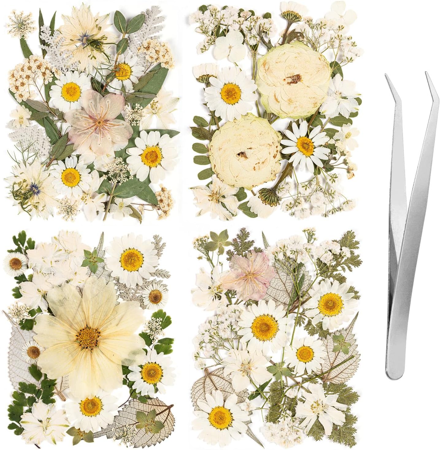 100pcs White and Light Yellow Dried Pressed Flowers Bulk, Natural Fall Pressed Dried Flowers with Tweezer for DIY Crafts Resin Mold Candles Cake Bridal Scrapbooking Supplies