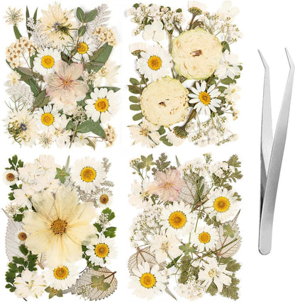 100pcs White and Light Yellow Dried Pressed Flowers Bulk, Natural Fall Pressed Dried Flowers with Tweezer for DIY Crafts Resin Mold Candles Cake Bridal Scrapbooking Supplies
