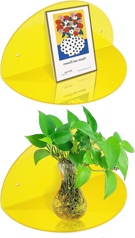 Small Acrylic Shelves Room Decor Floating Shelves (2-Pack, 8-inch Diameter) - Wall Mounted Display Stand for Plants, Toys, Makeup, and More - Ideal for Home and Office, Yellow