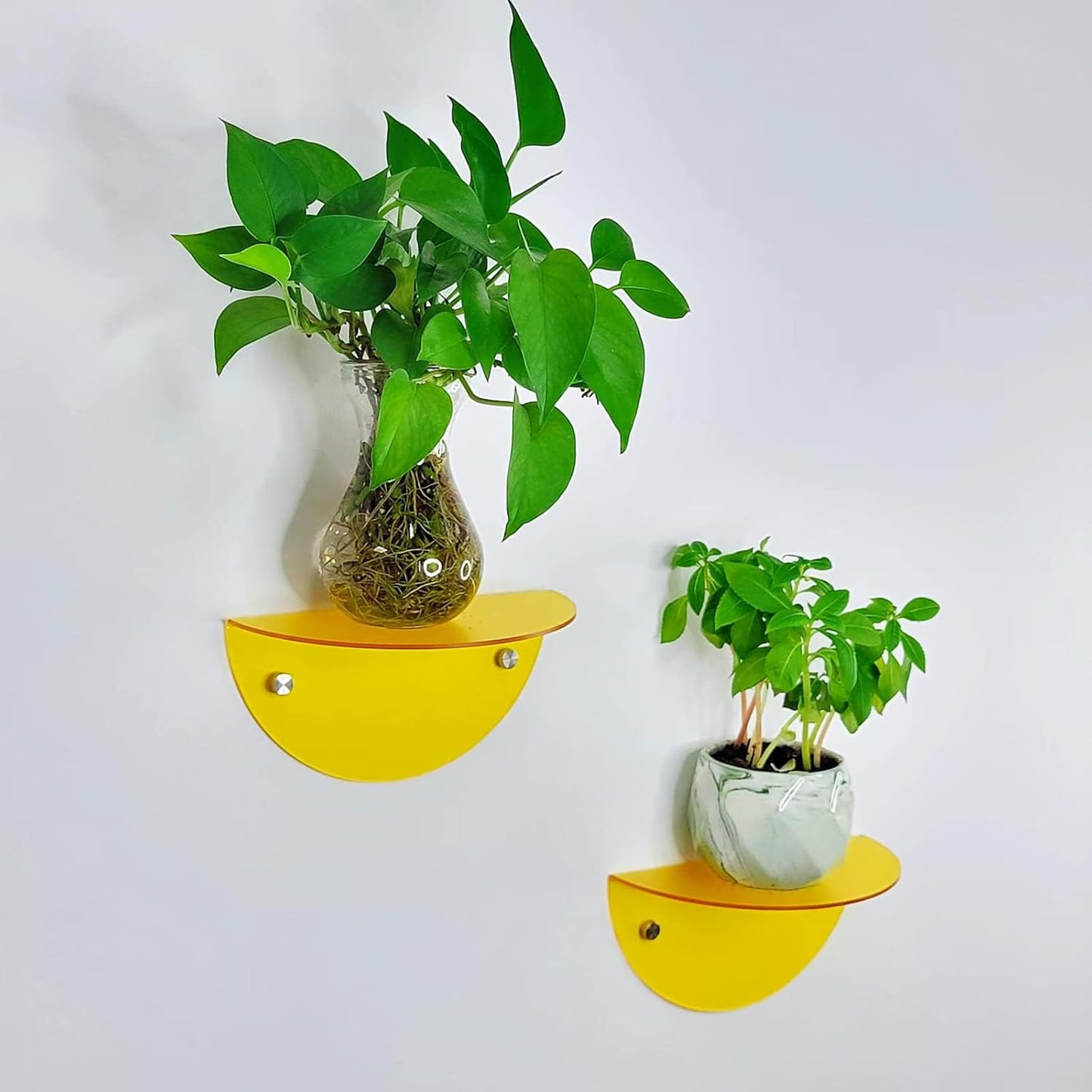 Small Acrylic Shelves Room Decor Floating Shelves (2-Pack, 8-inch Diameter) - Wall Mounted Display Stand for Plants, Toys, Makeup, and More - Ideal for Home and Office, Yellow