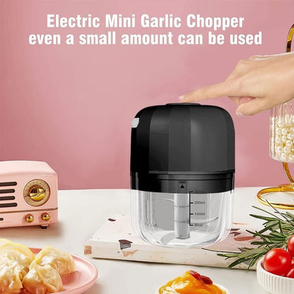 Electric Garlic Chopper, 250ML Rechargeable Portable and Cordless Mini Food Processor with Stainless Steel Blade, Electric Garlic Chopper Vegetable Chopper Blender for Nuts Chili Onion Minced (Gray