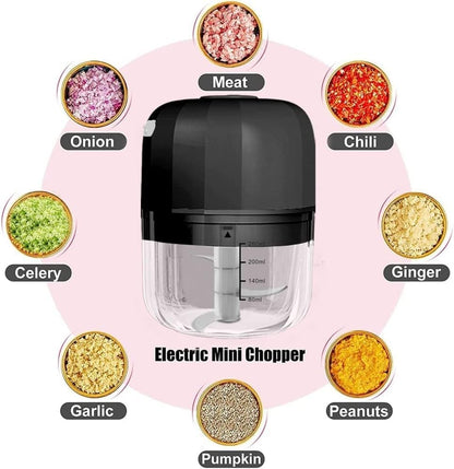 Electric Garlic Chopper, 250ML Rechargeable Portable and Cordless Mini Food Processor with Stainless Steel Blade, Electric Garlic Chopper Vegetable Chopper Blender for Nuts Chili Onion Minced (Gray