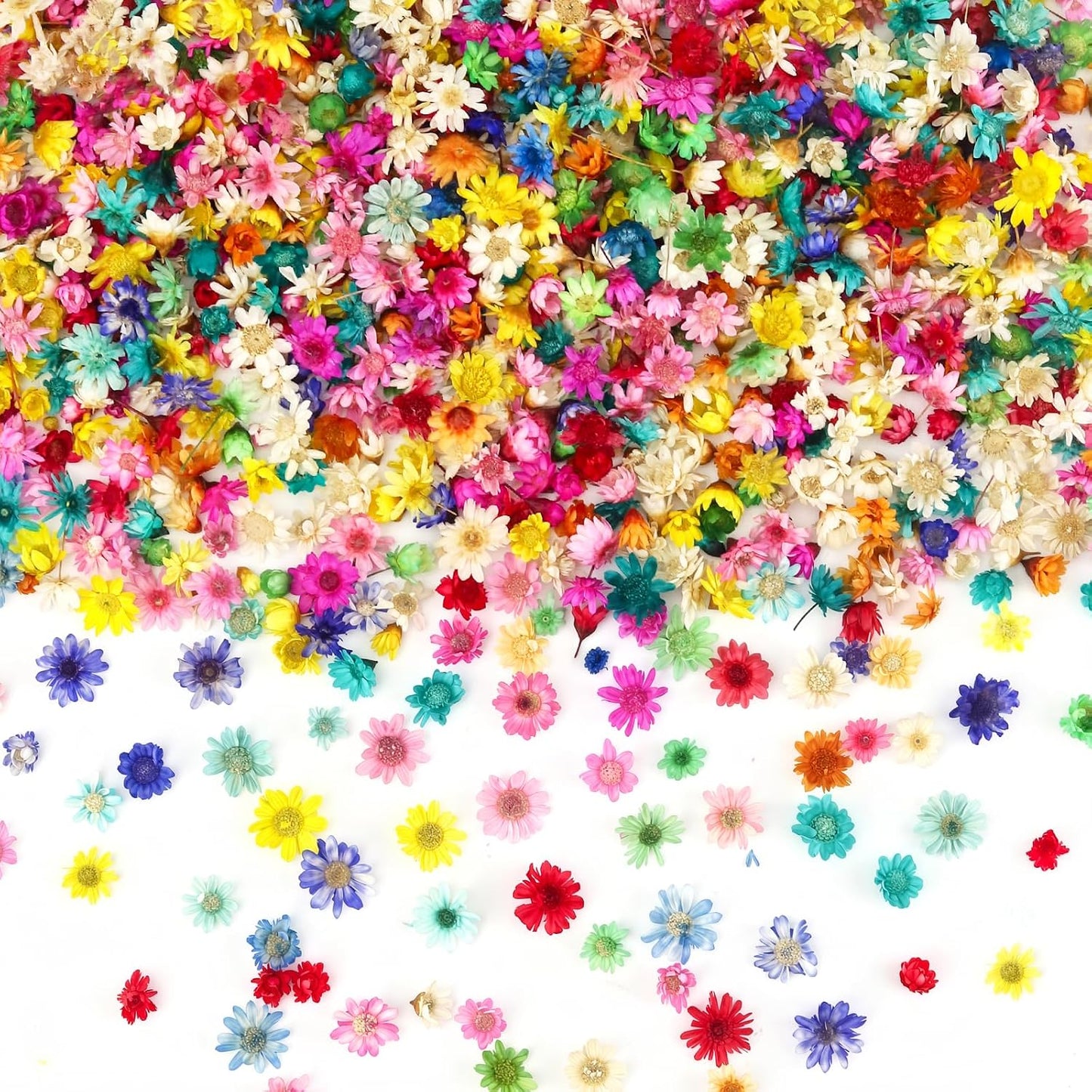 560 PCS Mini Dried Flowers for Resin, Small Dried Flowers for Crafts, Mini Dried Flowers for Resin, Dried Flowers for Resin Art, Jewelry, Earrings, Epoxy Molds, Candle, Soap and DIY