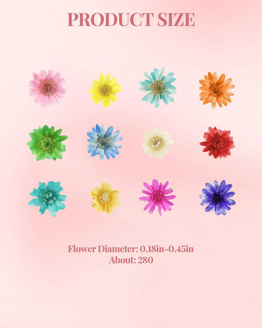 560 PCS Mini Dried Flowers for Resin, Small Dried Flowers for Crafts, Mini Dried Flowers for Resin, Dried Flowers for Resin Art, Jewelry, Earrings, Epoxy Molds, Candle, Soap and DIY