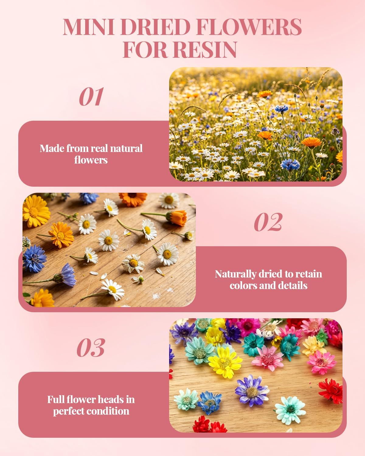 560 PCS Mini Dried Flowers for Resin, Small Dried Flowers for Crafts, Mini Dried Flowers for Resin, Dried Flowers for Resin Art, Jewelry, Earrings, Epoxy Molds, Candle, Soap and DIY