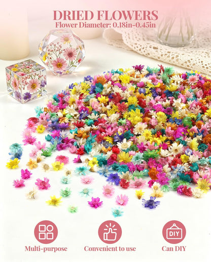 560 PCS Mini Dried Flowers for Resin, Small Dried Flowers for Crafts, Mini Dried Flowers for Resin, Dried Flowers for Resin Art, Jewelry, Earrings, Epoxy Molds, Candle, Soap and DIY