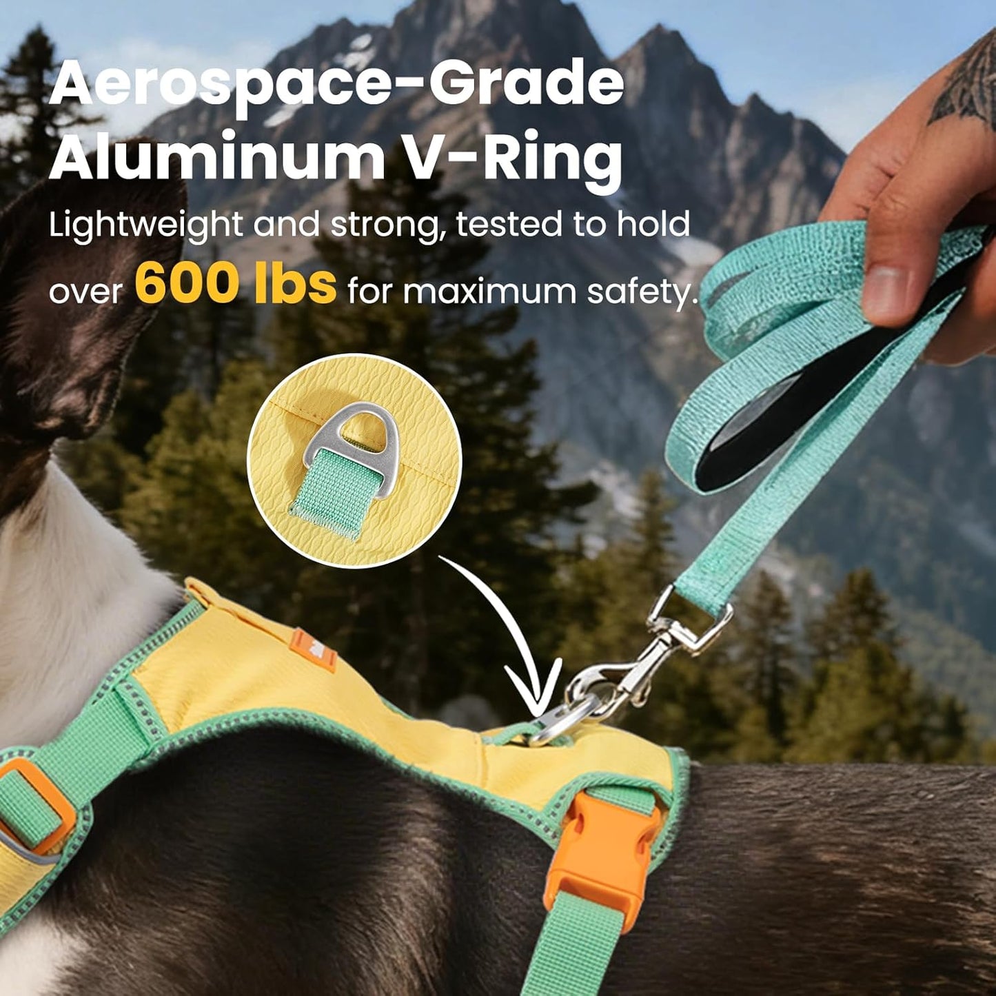 Escape-Proof No Pull Dog Harness for Small Dogs & Puppies, Lightweight Adjustable Vest with Front & Back Clip, Pocket & Reflective Soft Fabric for Safe Walking & Running with ID Tag, Yellow