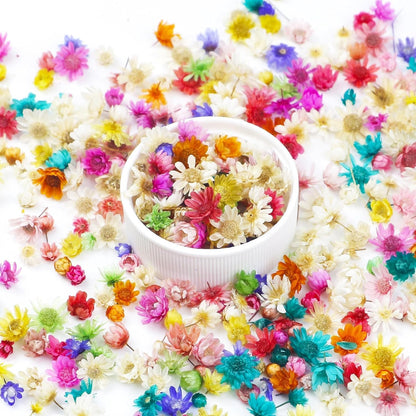 300 PCS Mini Dried Flowers for Resin, Small Dried Flowers for Crafts, Mini-Dried Flower Bulk for Resin Art, Jewelry, Candle Making, Soap Making and DIY Crafts