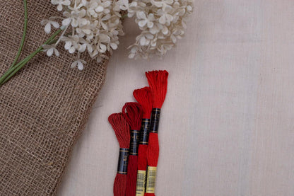 Pack of 12 Premium Embroidery Thread | 100% Egyptian Cotton Premium Skeins | Cross Stitch Embroidery Floss | Oeko TEX Certified Stranded Cotton | (Canary Yellow 298)