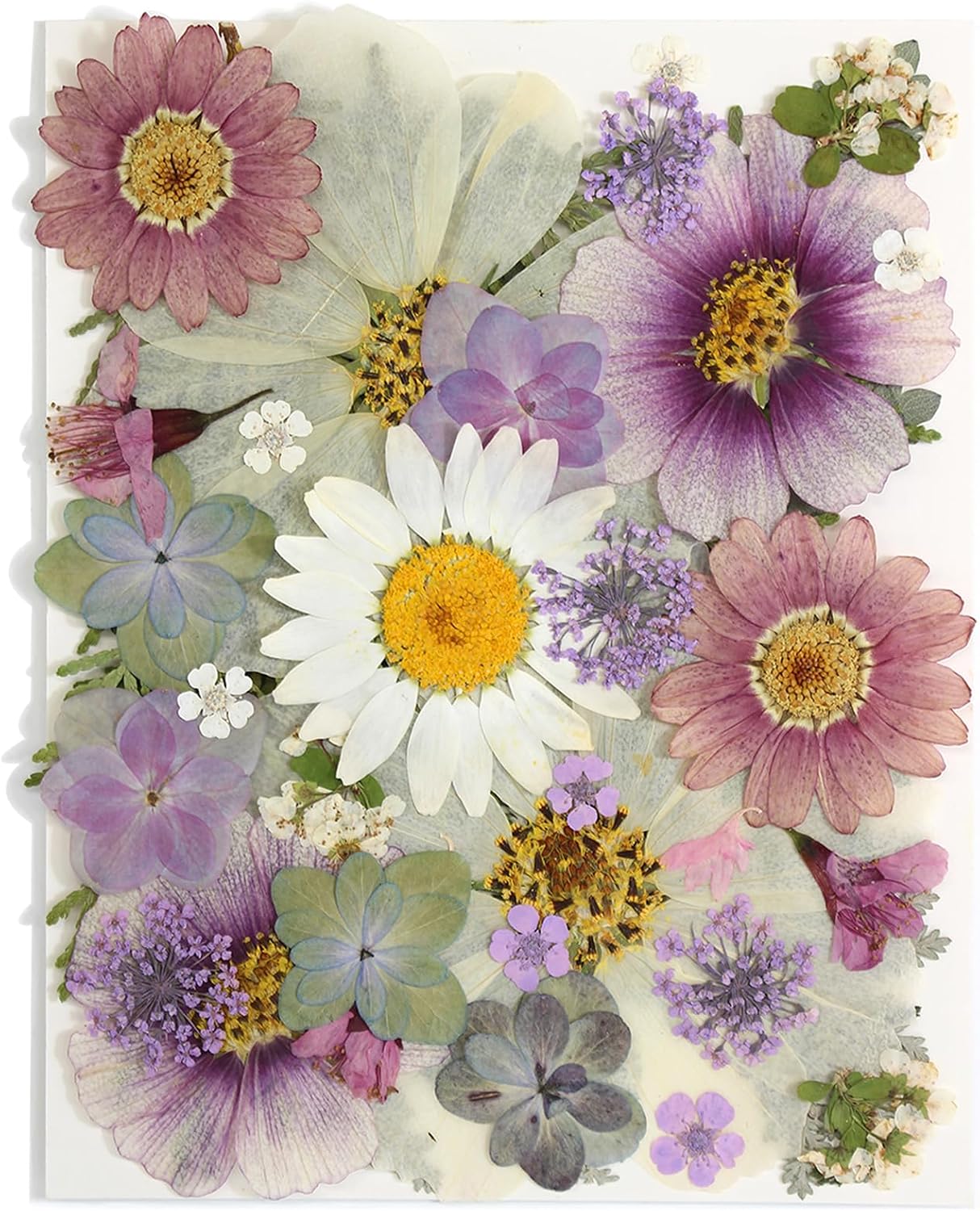 40PCS Real Nature Dried Pressed Flowers for Resin Mold, Dry Pressing Floral with Butterfly Transparent Stickers Set for DIY Jewelry Card Scrapbook Art Craft Decors