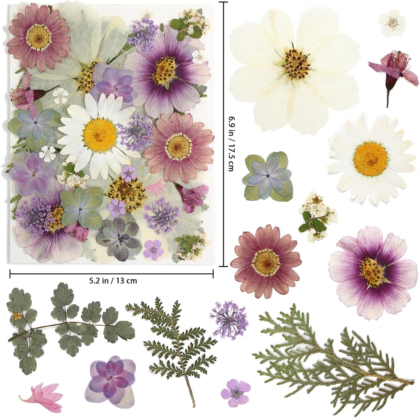 40PCS Real Nature Dried Pressed Flowers for Resin Mold, Dry Pressing Floral with Butterfly Transparent Stickers Set for DIY Jewelry Card Scrapbook Art Craft Decors