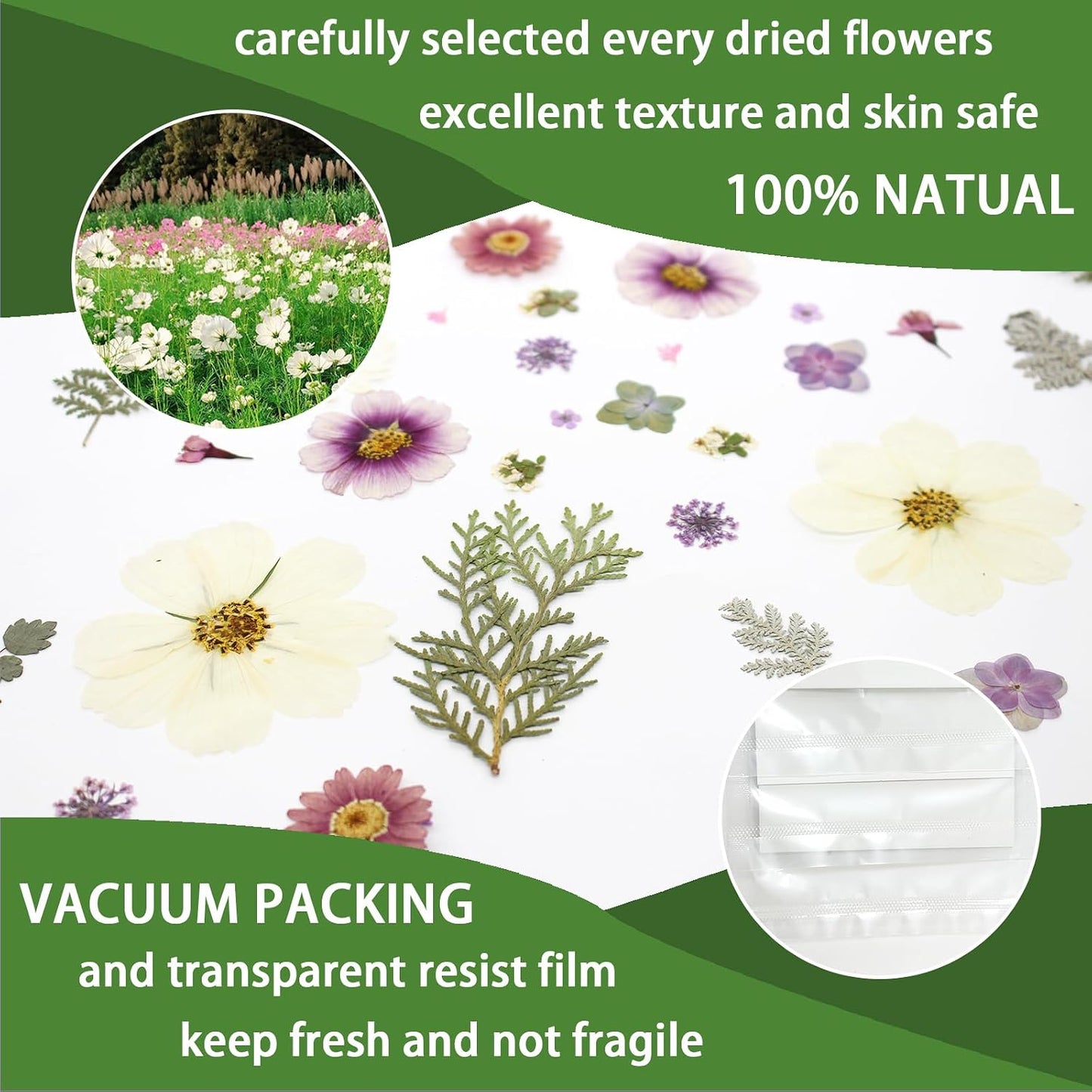 40PCS Real Nature Dried Pressed Flowers for Resin Mold, Dry Pressing Floral with Butterfly Transparent Stickers Set for DIY Jewelry Card Scrapbook Art Craft Decors