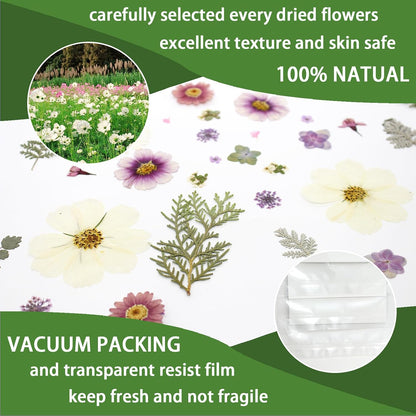 40PCS Real Nature Dried Pressed Flowers for Resin Mold, Dry Pressing Floral with Butterfly Transparent Stickers Set for DIY Jewelry Card Scrapbook Art Craft Decors