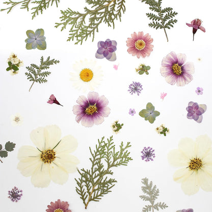 40PCS Real Nature Dried Pressed Flowers for Resin Mold, Dry Pressing Floral with Butterfly Transparent Stickers Set for DIY Jewelry Card Scrapbook Art Craft Decors