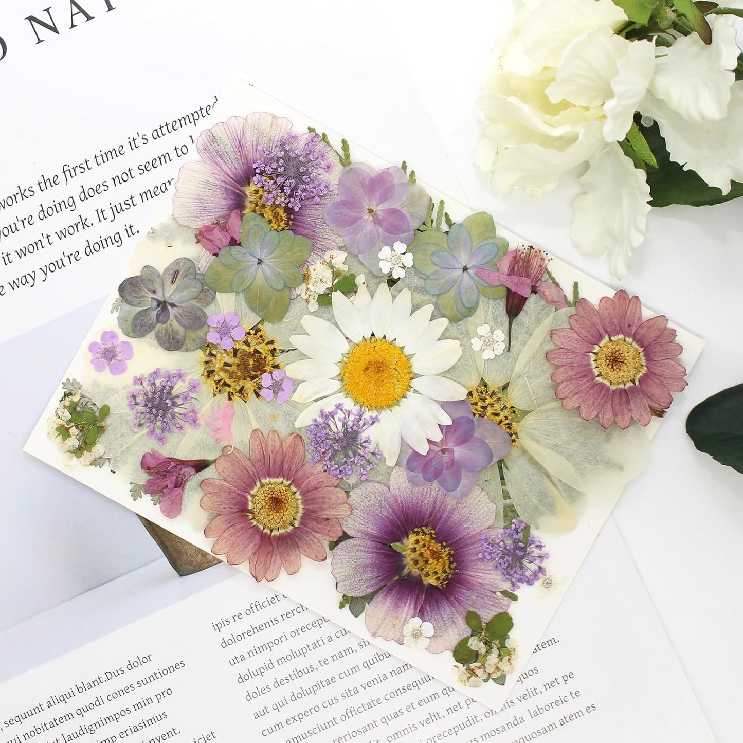 40PCS Real Nature Dried Pressed Flowers for Resin Mold, Dry Pressing Floral with Butterfly Transparent Stickers Set for DIY Jewelry Card Scrapbook Art Craft Decors