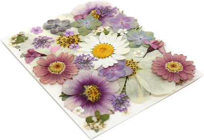 40PCS Real Nature Dried Pressed Flowers for Resin Mold, Dry Pressing Floral with Butterfly Transparent Stickers Set for DIY Jewelry Card Scrapbook Art Craft Decors