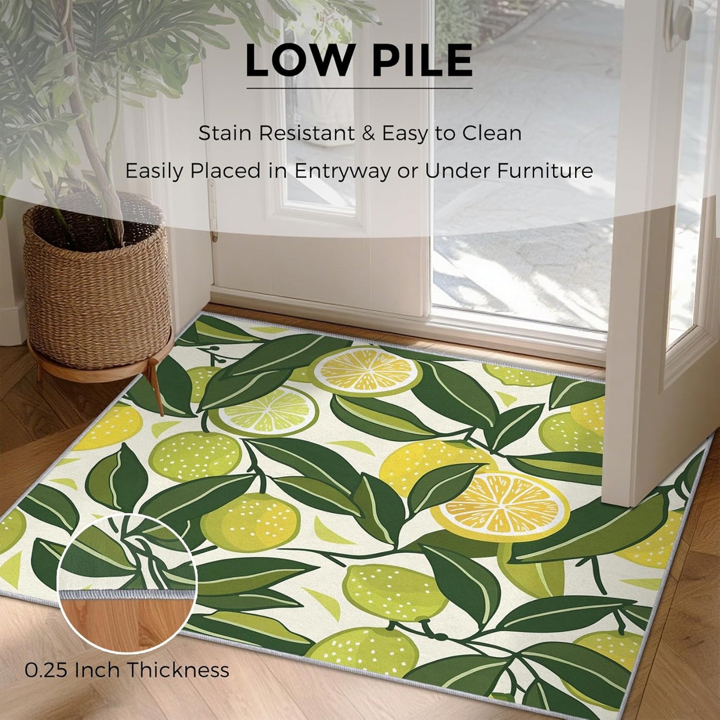 2x3 Cartoon Lemon Throw Rugs for Entryway, Washable Summer Fruits Pattern Indoor Door Mat, Bedroom Kitchen Entrance, Non Slip Soft Thin, Fresh Fruit Decor Small Area Rug PF-P 115