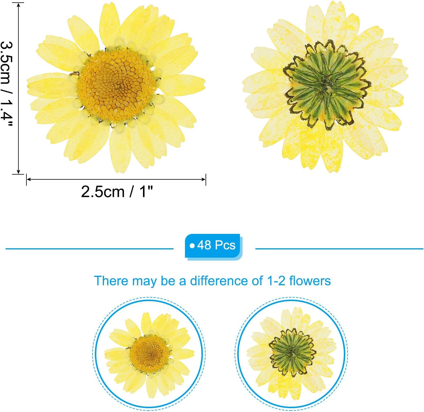 48 Pcs Dried Pressed Flower Natural Dried Daisy Flower for DIY Art Crafts House Decoration Nails Decoration,Lemon Yellow