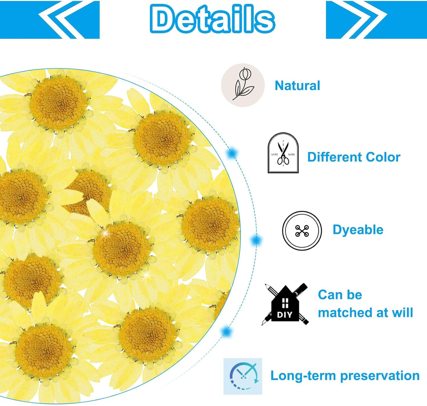 48 Pcs Dried Pressed Flower Natural Dried Daisy Flower for DIY Art Crafts House Decoration Nails Decoration,Lemon Yellow