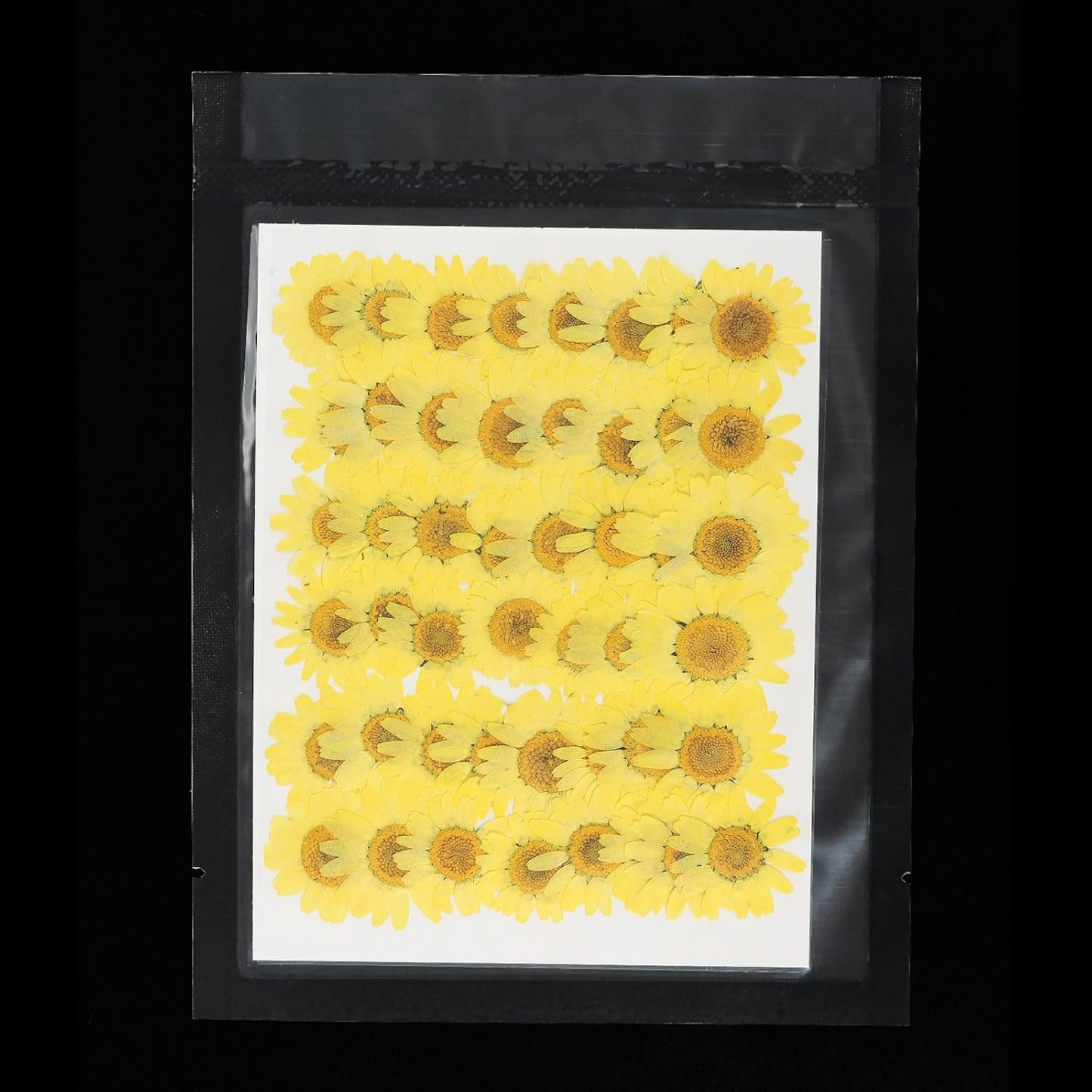 48 Pcs Dried Pressed Flower Natural Dried Daisy Flower for DIY Art Crafts House Decoration Nails Decoration,Lemon Yellow