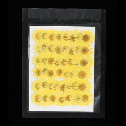 48 Pcs Dried Pressed Flower Natural Dried Daisy Flower for DIY Art Crafts House Decoration Nails Decoration,Lemon Yellow
