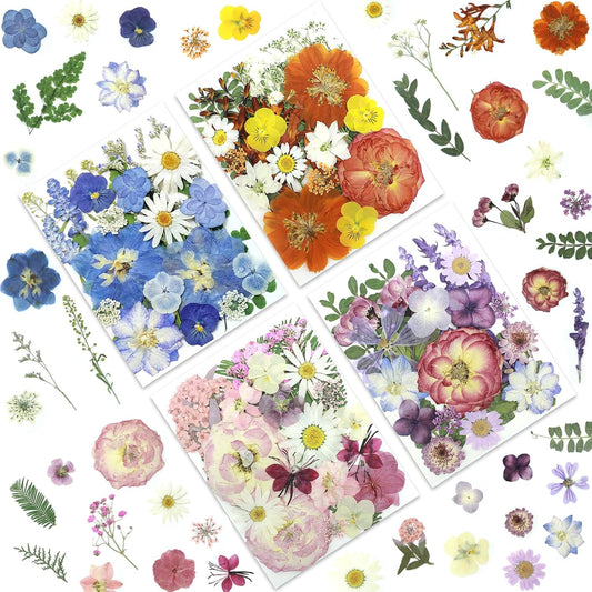 4-Color 100P Vibrant Dried Pressed Flowers | Vivid blue orange pink purple, varied bloom types, for resin art scrapbook card jewelry candle decor, tweezers included