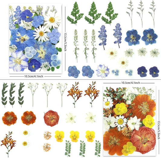 4-Color 100P Vibrant Dried Pressed Flowers | Vivid blue orange pink purple, varied bloom types, for resin art scrapbook card jewelry candle decor, tweezers included