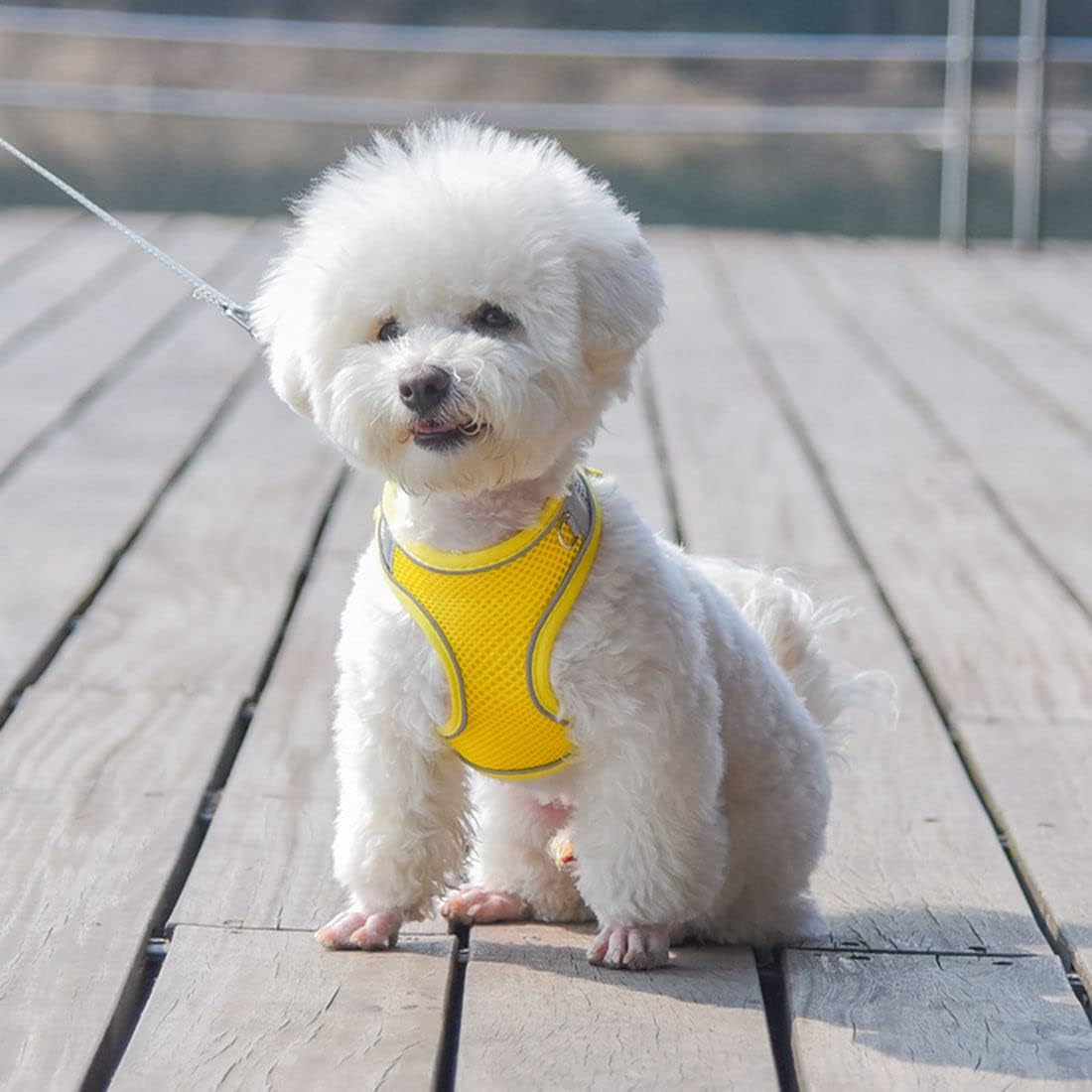 XSmall Dog Harness and Leash Set, Puppy Harness Girl Cats Vest, Yellow XS | 360° Reflective, Breathable Mesh, For Training, No-Pull, Adjustable For XXS Xs Small Medium Female Pet Dog, Outdoor Walking