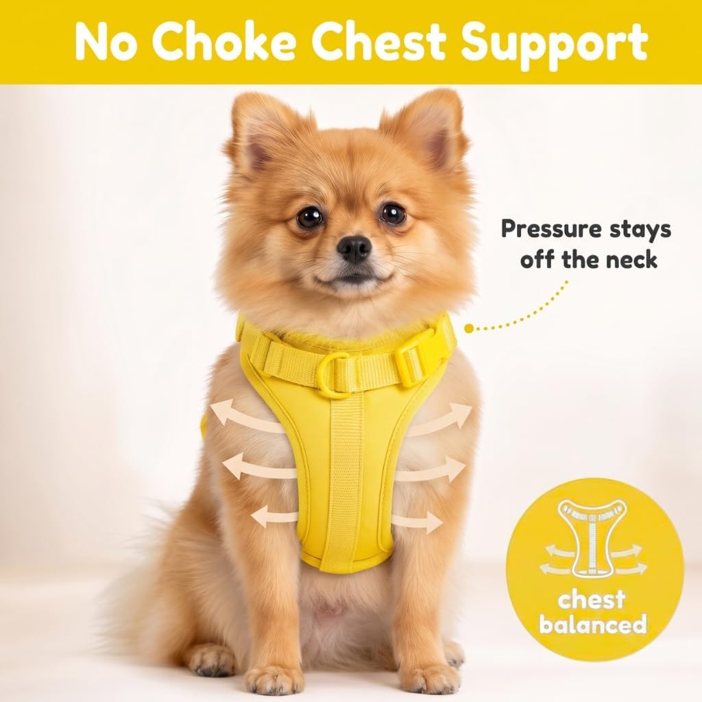 No Pull Dog Harness with 3 Leash Clips, Adjustable Vest, Easy Overhead Fit, No Choke Pet Vest, Soft Padding Chest Panel Gentle Leader for Dog Harness for Medium Dogs Yellow