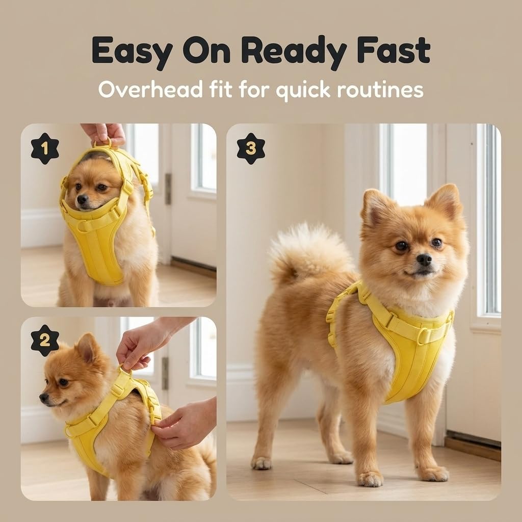 No Pull Dog Harness with 3 Leash Clips, Adjustable Vest, Easy Overhead Fit, No Choke Pet Vest, Soft Padding Chest Panel Gentle Leader for Dog Harness for Medium Dogs Yellow
