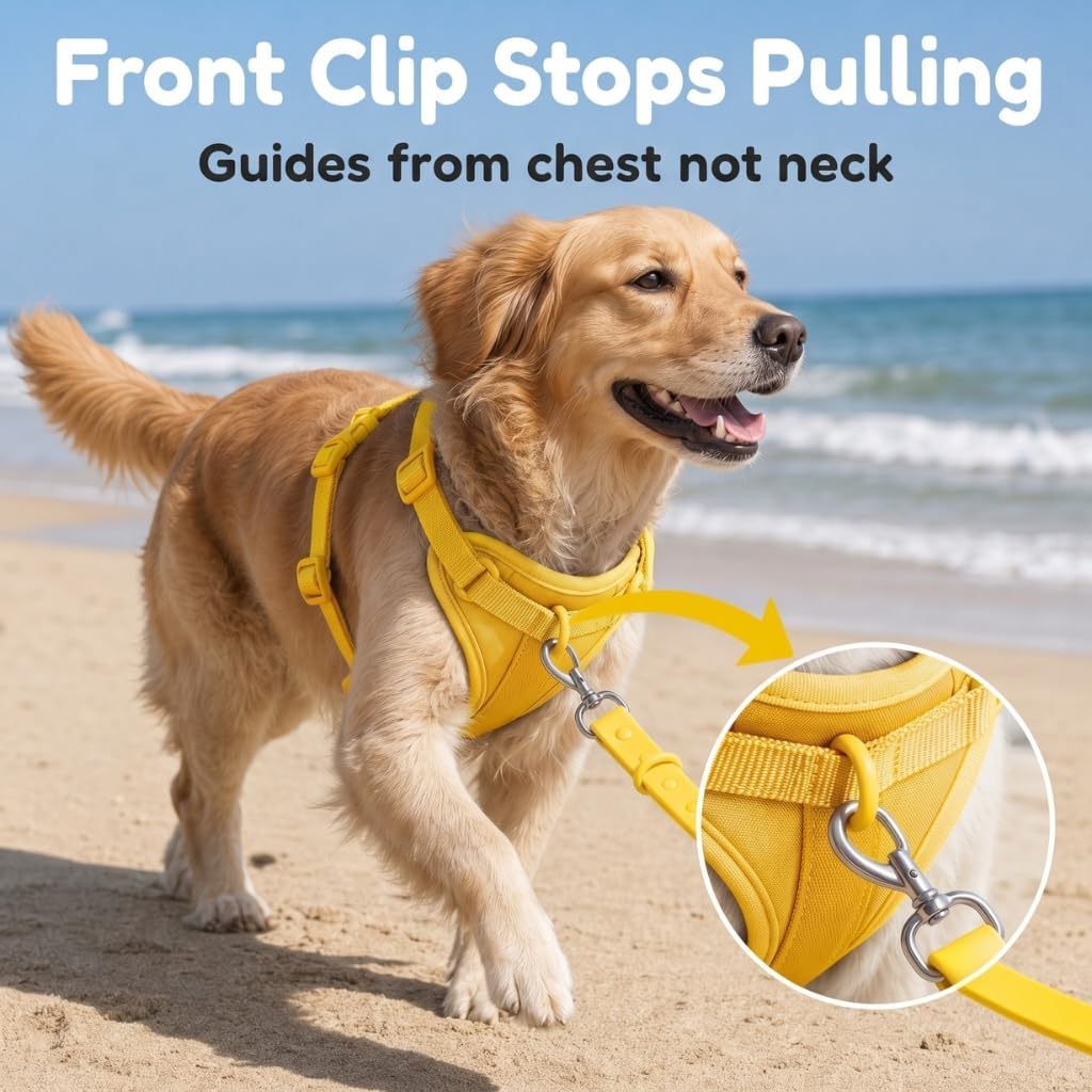 No Pull Dog Harness with 3 Leash Clips, Adjustable Vest, Easy Overhead Fit, No Choke Pet Vest, Soft Padding Chest Panel Gentle Leader for Dog Harness for Medium Dogs Yellow