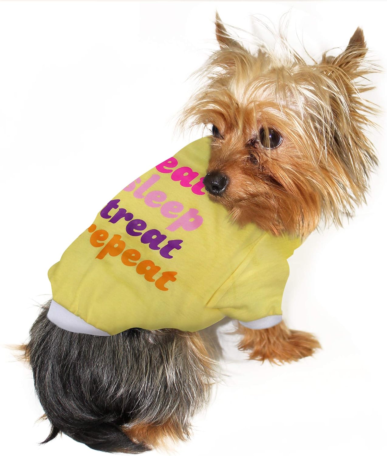 Laur DIY PET TEE Shirt - EAT Sleep Treat Repeat - LAURDIY Dog Shirt, X-Large