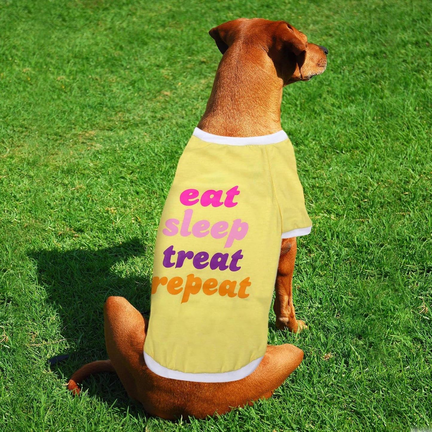 Laur DIY PET TEE Shirt - EAT Sleep Treat Repeat - LAURDIY Dog Shirt, X-Large