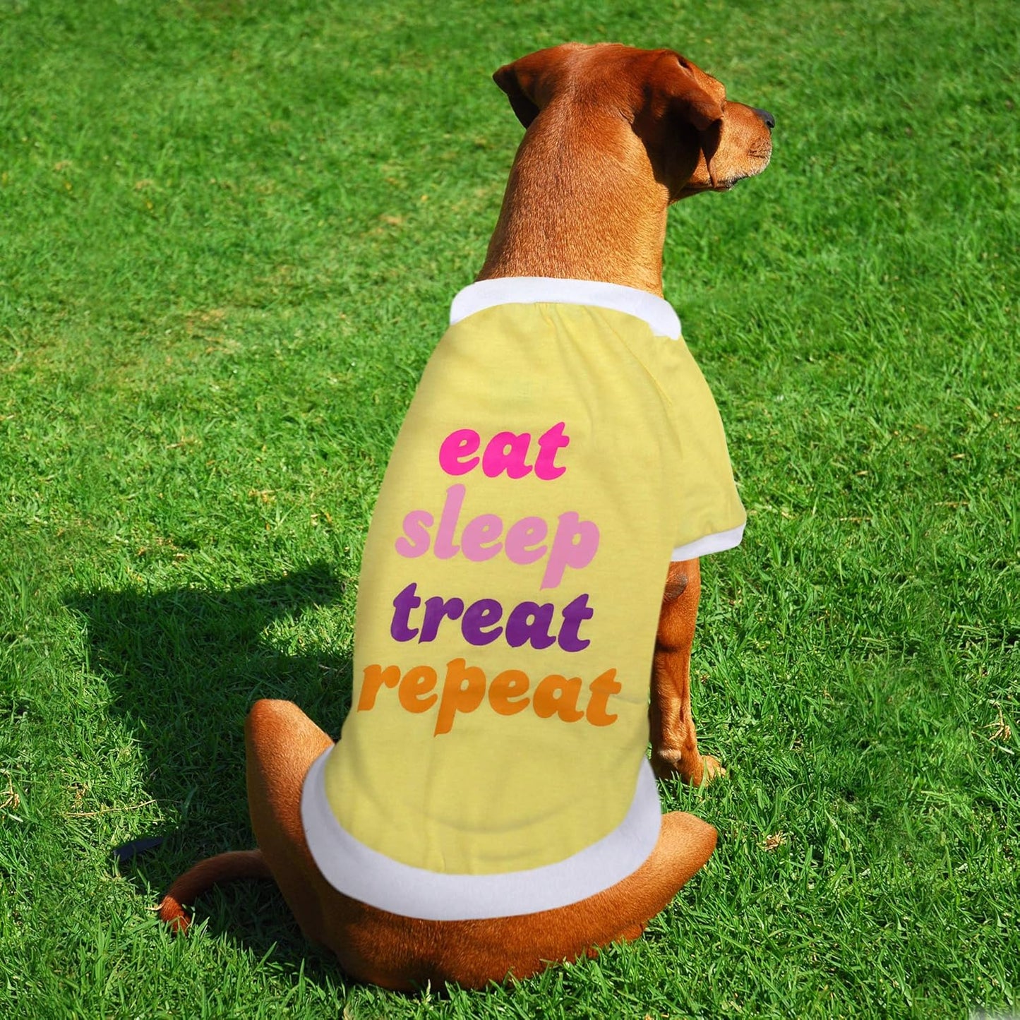 Laur DIY PET TEE Shirt - EAT Sleep Treat Repeat - LAURDIY Dog Shirt, X-Large